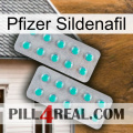 Pfizer Sildenafil 29